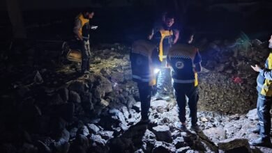 تضارب الروايات حول القصف الأردني على ريف درعا.. دمشق تستنكر وعمّان تتمسك باستهداف «داعش»