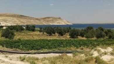 جرح الملكيات في الجزيرة السورية.. من يعيد الحقوق لأصحابها
