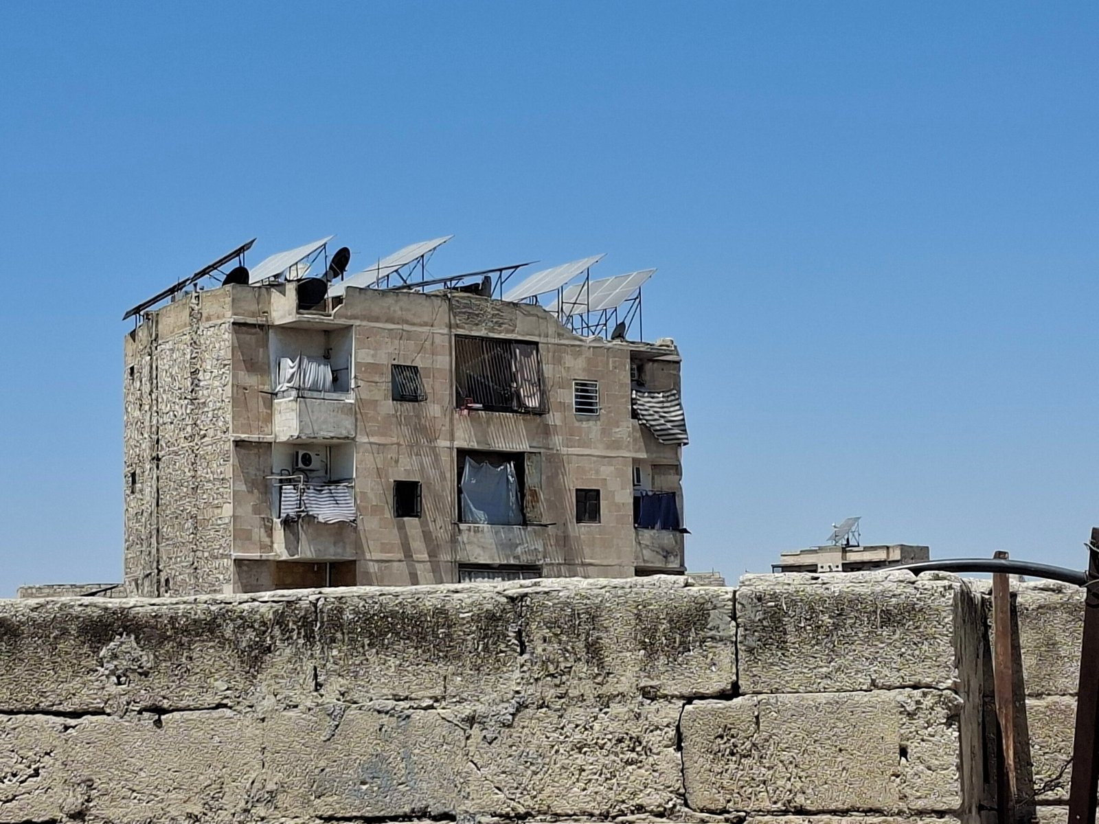 كل طير يعود إلى عشّه.. إلاّ حمام حلب